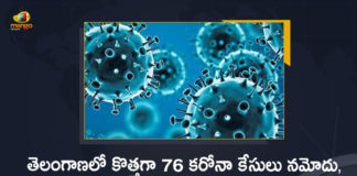 Telangana Reports 76 New Covid-19 Cases 49 Recoveries on June 4th, Telangana, Telangana Covid-19, 49 Recoveries Reported on Telangana June 4th, 76 new Covid-19 cases In Telangana, Telangana Covid-19 Updates, Telangana Covid-19 Live Updates, Telangana Covid-19 Latest Updates, Coronavirus, Coronavirus Breaking News, Coronavirus Latest News, COVID-19, Telangana Coronavirus, Telangana Coronavirus Cases, Telangana Coronavirus Deaths, Telangana Coronavirus New Cases, Telangana Coronavirus News, Telangana New Positive Cases, Total COVID 19 Cases, Coronavirus, COVID-19, Covid-19 Updates in Telangana, Telangana corona district wise cases, Telangana coronavirus cases district wise, Mango News, Mango News Telugu,