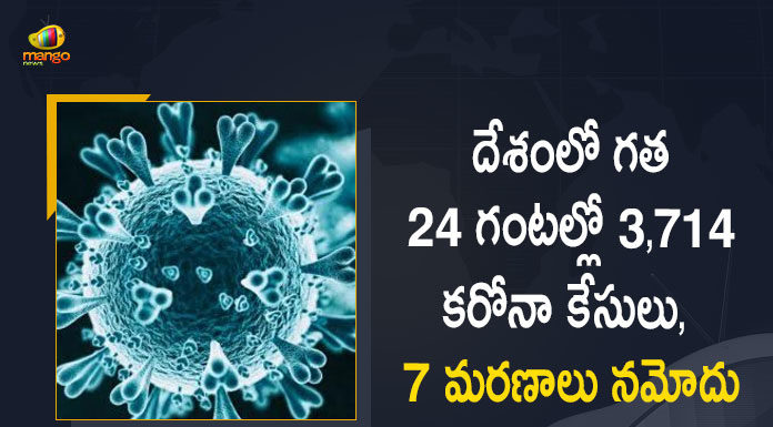 3714 New Covid-19 Cases 7 Deaths Reported in India in the Last 24 Hours, India, India Covid-19, 7 Deaths Reported on India June 6th, 3714 new Covid-19 cases In India, India Covid-19 Updates, India Covid-19 Live Updates, India Covid-19 Latest Updates, Coronavirus, Coronavirus Breaking News, Coronavirus Latest News, COVID-19, India Coronavirus, India Coronavirus Cases, India Coronavirus Deaths, India Coronavirus New Cases, India Coronavirus News, India New Positive Cases, Total COVID 19 Cases, Coronavirus, Covid-19 Updates in India, India corona State wise cases, India coronavirus cases State wise, Mango News, Mango News Telugu,