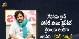 Janasena Chief Pawan Kalyan Criticizes AP Govt Over Crop Holiday in Konaseema, Janasena Chief Criticizes AP Govt Over Crop Holiday in Konaseema, Pawan Kalyan Criticizes AP Govt Over Crop Holiday in Konaseema, Janasena President Pawan Kalyan Criticizes AP Govt Over Crop Holiday in Konaseema, AP Govt Over Crop Holiday in Konaseema, Konaseema Crop Holiday, Janasena President Pawan Kalyan, Janasena Chief Pawan Kalyan, Pawan Kalyan, Crop Holiday, Konaseema Crop Holiday News, Konaseema Crop Holiday Latest News, Konaseema Crop Holiday Latest Updates, Konaseema Crop Holiday Live Updates, Mango News, Mango News Telugu,