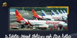 DGCA Issues Show Cause Notice To SpiceJet After 8 Safety-Related Malfunction Incidents in 18 Days, Directorate General of Civil Aviation Issues Show Cause Notice To SpiceJet After 8 Safety-Related Malfunction Incidents in 18 Days, 8 Safety-Related Malfunction Incidents in 18 Days, DGCA Issues Show Cause Notice To SpiceJet, Show Cause Notice To SpiceJet, SpiceJet Show Cause Notice, Show Cause Notice, SpiceJet, Directorate General of Civil Aviation, 8 Safety-Related Malfunction Incidents, Show Cause Notice To SpiceJet News, Show Cause Notice To SpiceJet Latest News, Show Cause Notice To SpiceJet Latest Updates, Show Cause Notice To SpiceJet Live Updates, Mango News, Mango News Telugu,