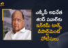 ఎన్సీపీ అధినేత శరద్ పవార్కు షాక్.. కొత్త ప్రభుత్వం ఏర్పడిన ఒక్కరోజులోనే ఐటీ నోటీసులు Maharashtra NCP Chief Sharad Pawar Receives Income Tax Notices After The Formation of New Govt, NCP Chief Sharad Pawar Receives Income Tax Notices After The Formation of New Govt, Formation of New Govt, NCP Chief Sharad Pawar Receives Income Tax Notices, Maharashtra NCP Chief Sharad Pawar Receives Income Tax Notices, Sharad Pawar Receives Income Tax Notices, Maharashtra NCP Chief Receives Income Tax Notices, Income Tax Notices, New Govt, Maharashtra NCP Chief Sharad Pawar, NCP Chief Sharad Pawar, Maharashtra NCP Chief, Sharad Pawar, NCP Chief Sharad Pawar Receives Income Tax Notices News, NCP Chief Sharad Pawar Receives Income Tax Notices Latest News, NCP Chief Sharad Pawar Receives Income Tax Notices Latest Updates, NCP Chief Sharad Pawar Receives Income Tax Notices Live Updates, Mango News, Mango News Telugu,