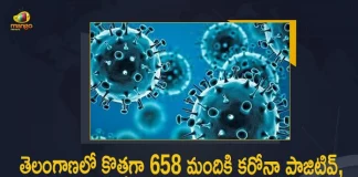 Telangana Records 658 Covid-19 Positive Cases 628 Recoveries on July 19th, Telangana, Telangana Covid-19, 628 Recoveries Reported on Telangana July 19th, 658 new Covid-19 cases In Telangana, Telangana Covid-19 Updates, Telangana Covid-19 Live Updates, Telangana Covid-19 Latest Updates, Coronavirus, Coronavirus Breaking News, Coronavirus Latest News, COVID-19, Telangana Coronavirus, Telangana Coronavirus Cases, Telangana Coronavirus Deaths, Telangana Coronavirus New Cases, Telangana Coronavirus News, Telangana New Positive Cases, Total COVID 19 Cases, Coronavirus, COVID-19, Covid-19 Updates in Telangana, Telangana corona district wise cases, Telangana coronavirus cases district wise, Mango News, Mango News Telugu,