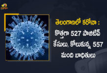 Telangana Reports 527 New Corona-19 Cases 557 Recoveries on July 13, Telangana, Telangana Covid-19, 557 Recoveries Reported on Telangana July 13th, 527 new Covid-19 cases In Telangana, Telangana Covid-19 Updates, Telangana Covid-19 Live Updates, Telangana Covid-19 Latest Updates, Coronavirus, Coronavirus Breaking News, Coronavirus Latest News, COVID-19, Telangana Coronavirus, Telangana Coronavirus Cases, Telangana Coronavirus Deaths, Telangana Coronavirus New Cases, Telangana Coronavirus News, Telangana New Positive Cases, Total COVID 19 Cases, Coronavirus, COVID-19, Covid-19 Updates in Telangana, Telangana corona district wise cases, Telangana coronavirus cases district wise, Mango News, Mango News Telugu,