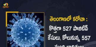 Telangana Reports 527 New Corona-19 Cases 557 Recoveries on July 13, Telangana, Telangana Covid-19, 557 Recoveries Reported on Telangana July 13th, 527 new Covid-19 cases In Telangana, Telangana Covid-19 Updates, Telangana Covid-19 Live Updates, Telangana Covid-19 Latest Updates, Coronavirus, Coronavirus Breaking News, Coronavirus Latest News, COVID-19, Telangana Coronavirus, Telangana Coronavirus Cases, Telangana Coronavirus Deaths, Telangana Coronavirus New Cases, Telangana Coronavirus News, Telangana New Positive Cases, Total COVID 19 Cases, Coronavirus, COVID-19, Covid-19 Updates in Telangana, Telangana corona district wise cases, Telangana coronavirus cases district wise, Mango News, Mango News Telugu,