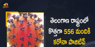 Corona in Telangana 556 New Positive Cases 652 Recoveries Reported on July 15, Telangana, Telangana Covid-19, 652 Recoveries Reported on Telangana July 15th, 556 new Covid-19 cases In Telangana, Telangana Covid-19 Updates, Telangana Covid-19 Live Updates, Telangana Covid-19 Latest Updates, Coronavirus, Coronavirus Breaking News, Coronavirus Latest News, COVID-19, Telangana Coronavirus, Telangana Coronavirus Cases, Telangana Coronavirus Deaths, Telangana Coronavirus New Cases, Telangana Coronavirus News, Telangana New Positive Cases, Total COVID 19 Cases, Coronavirus, COVID-19, Covid-19 Updates in Telangana, Telangana corona district wise cases, Telangana coronavirus cases district wise, Mango News, Mango News Telugu,