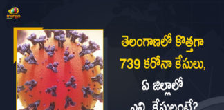 Telangana Reports 739 New Corona Cases 662 Recoveries on July 22nd, Telangana, Telangana Covid-19, 662 Recoveries Reported on Telangana July 22nd, 739 new Covid-19 cases In Telangana, Telangana Covid-19 Updates, Telangana Covid-19 Live Updates, Telangana Covid-19 Latest Updates, Coronavirus, Coronavirus Breaking News, Coronavirus Latest News, COVID-19, Telangana Coronavirus, Telangana Coronavirus Cases, Telangana Coronavirus Deaths, Telangana Coronavirus New Cases, Telangana Coronavirus News, Telangana New Positive Cases, Total COVID 19 Cases, Coronavirus, COVID-19, Covid-19 Updates in Telangana, Telangana corona district wise cases, Telangana coronavirus cases district wise, Mango News, Mango News Telugu,