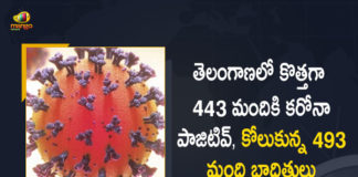 Corona Updates of Telangana 443 New Positive Cases Reported on July 4th, Telangana, Telangana Covid-19, 493 Recoveries Reported on Telangana July 4th, 443 new Covid-19 cases In Telangana, Telangana Covid-19 Updates, Telangana Covid-19 Live Updates, Telangana Covid-19 Latest Updates, Coronavirus, Coronavirus Breaking News, Coronavirus Latest News, COVID-19, Telangana Coronavirus, Telangana Coronavirus Cases, Telangana Coronavirus Deaths, Telangana Coronavirus New Cases, Telangana Coronavirus News, Telangana New Positive Cases, Total COVID 19 Cases, Coronavirus, COVID-19, Covid-19 Updates in Telangana, Telangana corona district wise cases, Telangana coronavirus cases district wise, Mango News, Mango News Telugu,