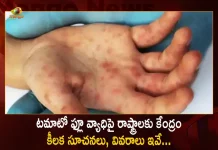 టమాటో ఫ్లూ వ్యాధిపై రాష్ట్రాలకు కేంద్రం కీలక సూచనలు, వివరాలు ఇవే… Centre Releases Advisory to States on Tomato Flu Disease, Centeral Governmemt Advise To States on Tomato Flu Disease, Tomato Flu Disease Latest News, Tomato Flu Disease Live Updates, Centre Issues Advisory To States On Tomato Flu, Tomato Fever, Tomato Flu, Tomato Flu Outbreak In India, Tomato Flu Symptoms And Causes, Tomato Flu Treatment, Centre Issues Guidelines on Tomato Flu, Central Government Guidelines For Tomato Flu, Mango News, Mango News Telugu,