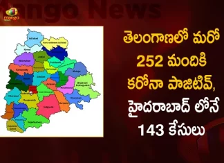 Corona in Telangana 252 Positive case 291 Recoveries Reported on August 21st, Telangana, Telangana Covid-19, 291 recoveries Reported on Telangana August 21st, 252 new Covid-19 cases In Telangana, Telangana Covid-19 Updates, Telangana Covid-19 Live Updates, Telangana Covid-19 Latest Updates, Coronavirus, Coronavirus Breaking News, Coronavirus Latest News, COVID-19, Telangana Coronavirus, Telangana Coronavirus Cases, Telangana Coronavirus Deaths, Telangana Coronavirus New Cases, Telangana Coronavirus News, Telangana New Positive Cases, Total COVID 19 Cases, Coronavirus, COVID-19, Covid-19 Updates in Telangana, Telangana corona district wise cases, Telangana coronavirus cases district wise, Mango News, Mango News Telugu,