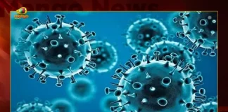 Corona in Telangana 298 Positive Cases 435 Recoveries Reported on August 25, Telangana Covid-19, 435 Recoveries Reported on Telangana August 25th, 298 new Covid-19 cases In Telangana, Telangana Covid-19 Updates, Telangana Covid-19 Live Updates, Telangana Covid-19 Latest Updates, Coronavirus, Coronavirus Breaking News, Coronavirus Latest News, COVID-19, Telangana Coronavirus, Telangana Coronavirus Cases, Telangana Coronavirus Deaths, Telangana Coronavirus New Cases, Telangana Coronavirus News, Telangana New Positive Cases, Total COVID 19 Cases, Coronavirus, COVID-19, Covid-19 Updates in Telangana, Telangana corona district wise cases, Telangana coronavirus cases district wise, Mango News, Mango News Telugu,