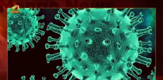 India Corona updates 10725 New Positive Cases 36 Deaths Reported in the Last 24 Hours, India, India Covid-19, 36 Deaths Reported on India August 24th, 10725 new Covid-19 cases In India, India Covid-19 Updates, India Covid-19 Live Updates, India Covid-19 Latest Updates, Coronavirus, Coronavirus Breaking News, Coronavirus Latest News, COVID-19, India Coronavirus, India Coronavirus Cases, India Coronavirus Deaths, India Coronavirus New Cases, India Coronavirus News, India New Positive Cases, Total COVID 19 Cases, Coronavirus, Covid-19 Updates in India, India corona State wise cases, India coronavirus cases State wise, Mango News, Mango News Telugu,