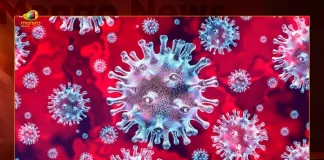 Maharashtra Corona Updates 1887 New Positive Cases 6 Deaths Reported on August 25th, Maharashtra, Maharashtra Covid-19, 6 Deaths Reported on Maharashtra August 25th, 1887 new Covid-19 cases In Maharashtra, Maharashtra Covid-19 Updates, Maharashtra Covid-19 Live Updates, Maharashtra Covid-19 Latest Updates, Coronavirus, Coronavirus Breaking News, Coronavirus Latest News, COVID-19, Maharashtra Coronavirus, Maharashtra Coronavirus Cases, Maharashtra Coronavirus Deaths, Maharashtra Coronavirus New Cases, Maharashtra Coronavirus News, Maharashtra New Positive Cases, Total COVID 19 Cases, Coronavirus, COVID-19, Covid-19 Updates in Maharashtra, Maharashtra corona district wise cases, Maharashtra coronavirus cases district wise, Mango News, Mango News Telugu,