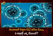 Corona in Telangana 612 Positive Cases 1061 Recoveries Reported on August 11, Telangana, Telangana Covid-19, 1061 Recoveries Reported on Telangana August 11th, 612 new Covid-19 cases In Telangana, Telangana Covid-19 Updates, Telangana Covid-19 Live Updates, Telangana Covid-19 Latest Updates, Coronavirus, Coronavirus Breaking News, Coronavirus Latest News, COVID-19, Telangana Coronavirus, Telangana Coronavirus Cases, Telangana Coronavirus Deaths, Telangana Coronavirus New Cases, Telangana Coronavirus News, Telangana New Positive Cases, Total COVID 19 Cases, Coronavirus, COVID-19, Covid-19 Updates in Telangana, Telangana corona district wise cases, Telangana coronavirus cases district wise, Mango News, Mango News Telugu,