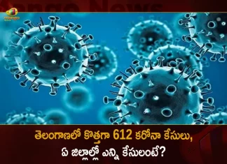 తెలంగాణలో కొత్తగా 612 కరోనా కేసులు, ఏ జిల్లాల్లో ఎన్ని కేసులంటే? Corona in Telangana 612 Positive Cases 1061 Recoveries Reported on August 11, Telangana, Telangana Covid-19, 1061 Recoveries Reported on Telangana August 11th, 612 new Covid-19 cases In Telangana, Telangana Covid-19 Updates, Telangana Covid-19 Live Updates, Telangana Covid-19 Latest Updates, Coronavirus, Coronavirus Breaking News, Coronavirus Latest News, COVID-19, Telangana Coronavirus, Telangana Coronavirus Cases, Telangana Coronavirus Deaths, Telangana Coronavirus New Cases, Telangana Coronavirus News, Telangana New Positive Cases, Total COVID 19 Cases, Coronavirus, COVID-19, Covid-19 Updates in Telangana, Telangana corona district wise cases, Telangana coronavirus cases district wise, Mango News, Mango News Telugu,