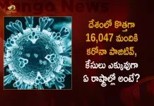 India Records 16047 New Corona Positive Cases 54 Deaths in Last 24 Hours, India, India Covid-19, 54 Deaths Reported on India August 9th, 16047 new Covid-19 cases In India, India Covid-19 Updates, India Covid-19 Live Updates, India Covid-19 Latest Updates, Coronavirus, Coronavirus Breaking News, Coronavirus Latest News, COVID-19, India Coronavirus, India Coronavirus Cases, India Coronavirus Deaths, India Coronavirus New Cases, India Coronavirus News, India New Positive Cases, Total COVID 19 Cases, Coronavirus, Covid-19 Updates in India, India corona State wise cases, India coronavirus cases State wise, Mango News, Mango News Telugu,