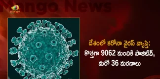 India 9062 New Corona Positive Cases 36 Deaths Reported in Last 24 Hours, India, India Covid-19, 36 Deaths Reported on India August 16th, 9062 new Covid-19 cases In India, India Covid-19 Updates, India Covid-19 Live Updates, India Covid-19 Latest Updates, Coronavirus, Coronavirus Breaking News, Coronavirus Latest News, COVID-19, India Coronavirus, India Coronavirus Cases, India Coronavirus Deaths, India Coronavirus New Cases, India Coronavirus News, India New Positive Cases, Total COVID 19 Cases, Coronavirus, Covid-19 Updates in India, India corona State wise cases, India coronavirus cases State wise, Mango News, Mango News Telugu,