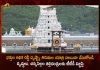 TTD has Appealed Aged Infants and Differently Abled Persons To Postpone Their Tirumala Pilgrimage, TTD has Appealed Infants To Postpone Their Tirumala Pilgrimage, TTD has Appealed Aged Persons To Postpone Their Tirumala Pilgrimage, TTD has Appealed Differently Abled Persons To Postpone Their Tirumala Pilgrimage, Ahead of Independence Day TTD has Appealed Aged And Infants To Postpone Their Tirumala Pilgrimage, TTD has Appealed To Postpone Tirumala Pilgrimage, Tirumala Pilgrimage, Tirumala Tirupati Devasthanam, TTD has appealed to senior citizens, Differently Abled Persons To Postpone Their Tirumala Pilgrimage, TTD News, TTD Latest News, TTD Latest Updates, TTD Live Updates, Mango News, Mango News Telugu,