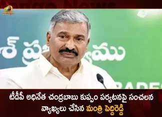 Minister Peddireddy Ramachandra Reddy Interesting Comments on TDP Chief Chandrababu Tour of Kuppam, Minister Peddireddy Rama Reddy Comments on Chandrababu Naidu Kuppam Tour, Mango News, Mango News Telugu, Minister Peddireddy Rama Reddy Speech on Chandrababu Kuppam Tour, Minister Peddireddy Rama Reddy Latest News And Updates, TDP Chief Chandrababu Naidu, Minister Peddireddy Ramachandra Reddy, Chandrababu Naidu Kuppam Tour, TDP Chief Kuppam Tour, TDP, YSR Congress Party, AP CM Jagan Mohan Reddy,Nara Chandrababu Naidu,