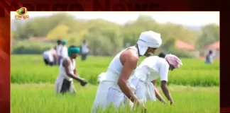 PM Kisan Samman Nidhi Deadline for Completing eKYC Extended for All Beneficiaries till August 31st, Deadline for Completing PM Kisan Samman Nidhi eKYC Extended for All Beneficiaries till August 31st, PM Kisan Samman Nidhi eKYC Extended for All Beneficiaries till August 31st, eKYC deadline for all PM KISAN beneficiaries has been extended until August 31, PM Kisan eKYC deadline, PM Kisan Samman Nidhi, PM Kisan eKYC, PM Kisan Yojana, PMKISAN beneficiaries, Deadline of eKYC, PM Kisan eKYC Update, PM Kisan Samman Nidhi News, PM Kisan Samman Nidhi Latest News And Updates, PM Kisan Samman Nidhi Live Updates, Mango News, Mango News Telugu,