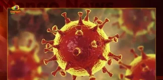 Telangana Corona Updates 290 Positive Cases Reported on August 26th, Telangana, Telangana Covid-19, 450 Recoveries Reported on Telangana August 26th, 290 new Covid-19 cases In Telangana, Telangana Covid-19 Updates, Telangana Covid-19 Live Updates, Telangana Covid-19 Latest Updates, Coronavirus, Coronavirus Breaking News, Coronavirus Latest News, COVID-19, Telangana Coronavirus, Telangana Coronavirus Cases, Telangana Coronavirus Deaths, Telangana Coronavirus New Cases, Telangana Coronavirus News, Telangana New Positive Cases, Total COVID 19 Cases, Coronavirus, COVID-19, Covid-19 Updates in Telangana, Telangana corona district wise cases, Telangana coronavirus cases district wise, Mango News, Mango News Telugu,