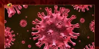 Telangana Records 338 Covid-19 Positive Cases 507 Recoveries on August 24, Telangana, Telangana Covid-19, 507 recoveries Reported on Telangana August 24th, 338 new Covid-19 cases In Telangana, Telangana Covid-19 Updates, Telangana Covid-19 Live Updates, Telangana Covid-19 Latest Updates, Coronavirus, Coronavirus Breaking News, Coronavirus Latest News, COVID-19, Telangana Coronavirus, Telangana Coronavirus Cases, Telangana Coronavirus Deaths, Telangana Coronavirus New Cases, Telangana Coronavirus News, Telangana New Positive Cases, Total COVID 19 Cases, Coronavirus, COVID-19, Covid-19 Updates in Telangana, Telangana corona district wise cases, Telangana coronavirus cases district wise, Mango News, Mango News Telugu,