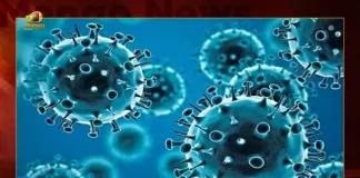 Telangana Reports 450 New Corona Positive Cases 476 Recoveries on August 19th, Telangana, Telangana Covid-19, 476 recoveries Reported on Telangana August 19th, 450 new Covid-19 cases In Telangana, Telangana Covid-19 Updates, Telangana Covid-19 Live Updates, Telangana Covid-19 Latest Updates, Coronavirus, Coronavirus Breaking News, Coronavirus Latest News, COVID-19, Telangana Coronavirus, Telangana Coronavirus Cases, Telangana Coronavirus Deaths, Telangana Coronavirus New Cases, Telangana Coronavirus News, Telangana New Positive Cases, Total COVID 19 Cases, Coronavirus, COVID-19, Covid-19 Updates in Telangana, Telangana corona district wise cases, Telangana coronavirus cases district wise, Mango News, Mango News Telugu,