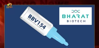 Bharat Biotechs Intranasal Covid Vaccine Gets DCGI Approval for Restricted Emergency Use in 18 Plus Age Group, Bharat Biotechs Intranasal Covid vaccine, Indias First Intranasal Covid Vaccine, DCGI Nod To Bharat Biotechs Intranasal Covid, Bharat Biotech, Intranasal Covid Vaccine , Covid Vaccine, Covid Vaccine For 18 Plus Age Group, Covid Vaccine Latest News And Updates, Drug Controller General of India