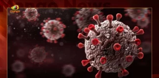 Corona in India 6093 Positive Cases 31 Deaths Reported in Last 24 Hours, India Records 6093 New Covid Cases, 31 Covid Deaths September 8th, Mango News, Mango News Telugu, India Logs 6093 Covid Positive Cases, 6093 New COVID19 Cases In Telangana, COVID19 Cases In Telangana, Carona Live Updates, Covid19 News And Latest Updates, Covid19 Vaccine, COVID New Variant, Booster Dose, Telanagana COVID News