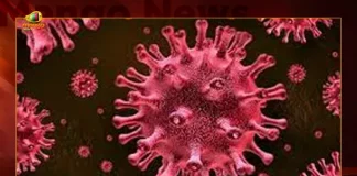 Covid-19 in Telangana 159 Positive Cases 298 Recoveries Reported on September 1st, 159 New Corona Positive Cases 298 Recoveries, Telangana Logs 159 New COVID-19 Cases, 159 New Covid19 Cases Reported In Telangana, New COVID19 Cases in Telangana , Mango News, Mango News Telugu, COVID-19 Latest News And Updates, Coronavirus Disease, COVID19 News And Live Updates, COVID19 Vaccine, 159 Covid-19 Positive Cases In Telangana, Coronavirus XE Variant, Boster Dose