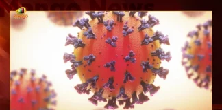 India Records 5221 New Covid-19 Cases 15 Deaths in Last 24 Hours, India Records 5221 New Covid Cases, 15 Covid Deaths In 24 Hours , Mango News, Mango News Telugu, India Logs 5221 Covid Positive Cases, 5221 New COVID19 Cases In Telangana, COVID19 Cases In India, Carona Live Updates, Covid19 News And Latest Updates, Covid19 Vaccine, COVID New Variant, Booster Dose, India COVID News, CARONA, COVID News And Updates, Carona Vaccine