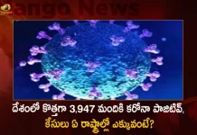 India Reports 3947 New Covid-19 Positive Cases 18 Deaths in Last 24 Hours, India Records 3947 New Covid Cases, 18 Covid Deaths September 30th, Mango News, Mango News Telugu, India Logs 3947 Covid Positive Cases, 3947 New COVID19 Cases In Telangana, COVID19 Cases In India, Carona Live Updates, Covid19 News And Latest Updates, Covid19 Vaccine, COVID New Variant, Booster Dose, India COVID News