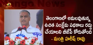 Minister Harish Rao Distributes New Aasara Pension Cards For The Beneficiaries in Siddipet Today, Aasara Pension Scheme, Minister Harish Rao, Aasara Pension Identity Cards , Harish Rao Handed Aasara Pension Identity Cards, Mango News, Mango News Telugu, Telangana Asara Pension, Asara Pension Latest News And Updates, Asara Pension, Telangana Minister Harish Rao, Telngana CM KCR, TRS Party , Telangna Assembly Sessions