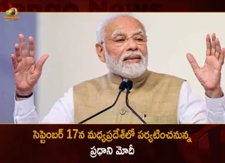 PM Modi will Visit Madhya Pradesh on 17th September will Release Cheetahs in Kuno National Park, PM Modi Madhya Pradesh Tour, Release Cheetahs in Kuno National Park, PM Modi Will Visit Madhya Pradesh , PM Narendra Modi, Mango News, Mango News Telugu, Narendra Modi, PM Narendra Modi MP Tour, Madhya Pradesh Tour, PM Narendra Modi Latest News And Updates, Pm Modi Twitter Updates, Prime Minister Of India