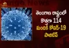 Telangana Covid-19 Updates 114 New Positive Cases Reported on September 16, Telangana Records 114 New Covid Cases, Covid Recoveries September 9th, Mango News, Mango News Telugu, Telangana Logs 114 Covid Positive Cases, 114 New COVID19 Cases In Telangana, COVID19 Cases In Telangana, Carona Live Updates, Covid19 News And Latest Updates, Covid19 Vaccine, COVID New Variant, Booster Dose, Telanagana COVID News