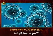 Telangana Records 177 New Corona Positive Cases 290 Recoveries on September 2nd, Telangana, Telangana Covid-19, 290 Recoveries Reported on Telangana September 2nd, 177 new Covid-19 cases In Telangana, Telangana Covid-19 Updates, Telangana Covid-19 Live Updates, Telangana Covid-19 Latest Updates, Coronavirus, Coronavirus Breaking News, Coronavirus Latest News, COVID-19, Telangana Coronavirus, Telangana Coronavirus Cases, Telangana Coronavirus Deaths, Telangana Coronavirus New Cases, Telangana Coronavirus News, Telangana New Positive Cases, Total COVID 19 Cases, Coronavirus, COVID-19, Covid-19 Updates in Telangana, Telangana corona district wise cases, Telangana coronavirus cases district wise, Mango News, Mango News Telugu,