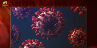 1946 Corona Positive Cases 10 Deaths Reported in India in Last 24 Hours, India Records 1946 New Covid Cases, 10 Covid Deaths on October 19th, COVID New Variant , Mango News, Mango News Telugu, India Logs 1946 Covid Positive Cases, 1946 New COVID19 Cases In Telangana, COVID19 Cases In India, Carona Live Updates, Covid19 News And Latest Updates, Covid19 Vaccine, Booster Dose, India COVID News, Coronavirus Disease, COVID-19, COVID Live, CoWIN