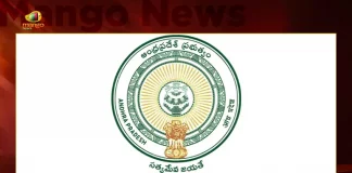 AP Govt Releases Schedule For The Promotions of Public School Teachers, Promotions of Public School Teachers, Public School Teachers, AP Govt Releases Schedule For The Promotions, AP Govt Releases Schedule For Public School Teachers Promotions, Public School Teachers Promotions, AP Public School Teachers, promotions of Grade-2 posts, AP Grade-2 posts, AP Teachers Promotion Schedule 2022, AP Govt, AP Teachers Promotion News, AP Teachers Promotion Latest News And Updates, AP Teachers Promotion Live Updates, Mango News, Mango News Telugu