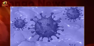 Corona in Telangana: 75 New Positive Cases 78 Recoveries Reported on October 29th, Telangana Records 78 New Covid Cases, 78 Covid Recoveries October 29th, Mango News, Mango News Telugu, Telangana Logs 78 Covid Positive Cases, 78 New COVID19 Cases In Telangana, COVID19 Cases In Telangana, Carona Live Updates, Covid19 News And Latest Updates, Covid19 Vaccine, COVID New Variant, Booster Dose, Telanagana COVID News