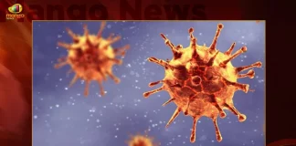 Corona in Telangana 87 Positive Cases 76 Recoveries Reported on October 14th, Telangana, Telangana Covid-19, 76 recoveries Reported on Telangana October 14th, 87 new Covid-19 cases In Telangana, Telangana Covid-19 Updates, Telangana Covid-19 Live Updates, Telangana Covid-19 Latest Updates, Coronavirus, Coronavirus Breaking News, Coronavirus Latest News, COVID-19, Telangana Coronavirus, Telangana Coronavirus Cases, Telangana Coronavirus Deaths, Telangana Coronavirus New Cases, Telangana Coronavirus News, Telangana New Positive Cases, Total COVID 19 Cases, Coronavirus, COVID-19, Covid-19 Updates in Telangana, Telangana corona district wise cases, Telangana coronavirus cases district wise, Mango News, Mango News Telugu