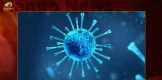 Covid-19 in Telangana: 81 Positive Cases 87 Recoveries Reported on October 21st,Telangana Records 128 New Covid Cases, Covid Recoveries September 9th, Mango News, Mango News Telugu, Telangana Logs 128 Covid Positive Cases, 128 New COVID19 Cases In Telangana, COVID19 Cases In Telangana, Carona Live Updates, Covid19 News And Latest Updates, Covid19 Vaccine, COVID New Variant, Booster Dose, Telanagana COVID News