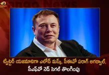 Elon Musk Takes Control of Twitter Terminates Top Executives Including CEO Parag Agrawal CFO Ned Segal, Elon Musk Takes Control of Twitter, Terminates Top Executives, CEO Parag Agrawal, CFO Ned Segal, Mango News, Mango News Telugu, Twitter Ex CEO Parag Agrawal, Twitter Ex CFO Ned Segal, Elon Musk Buys Twitter, Elon Musk Twitter Takeover, Elon Musk Latest News And Updates, Elon Musk Twitter Live Updates, Elon Musk Tesla, Elon Musk News And Updates