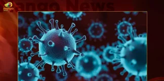 India Reports 1326 New Covid-19 Positive Cases 8 Deaths in Last 24 Hours, India Records 1326 New Covid Cases, 8 Covid Deaths October 31st, Mango News, Mango News Telugu, India Logs 1326 Covid Positive Cases, 1326 New COVID19 Cases In Telangana, COVID19 Cases In India, Carona Live Updates, Covid19 News And Latest Updates, Covid19 Vaccine, COVID New Variant, Booster Dose, India COVID News And Updates, Carona Latest Updates And News