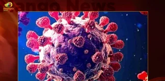 India Reports 1957 Fresh Corona Positive Cases 8 Deaths in Last 24 Hours, India Records 1957 New Covid Cases, 8 Covid Deaths on October 11th, COVID New Variant , Mango News, Mango News Telugu, India Logs 1957 Covid Positive Cases, 1957 New COVID19 Cases In Telangana, COVID19 Cases In India, Carona Live Updates, Covid19 News And Latest Updates, Covid19 Vaccine, Booster Dose, India COVID News, Coronavirus Disease, COVID-19, COVID Live, CoWIN