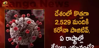 India Reports 2529 New Corona Positive Cases, 12 Deaths in Last 24 Hours