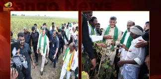 TDP Chief Chandrababu Visits Palnadu Today Inspected the Crops Damage due to Heavy Rains, TDP Chief Chandrababu Naidu, TDP Chief Chandrababu Visits Palnadu, Chandrababu Palnadu Tour Today, Mango News, Mango News Telugu, Chandrababu Inspected Crops Damage Palnadu, Palnadu Crops Damage Due To Heavy Rains, TDP Chief Chandrababu, TDP Chief Chandrababu Naidu News And Updates, TDP Chief Chandrababu Naidu, Chandrababu Naidu Comments on Govt, AP CM YS Jagan Mohan Reddy, Chandrababu Naidu Latest News And Live Updates