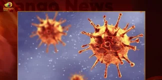 Telangana Covid-19 Updates 81 Positive Cases Reported on October 27th, Telangana Records 81 New Covid Cases, Covid Recoveries October 27th, Mango News, Mango News Telugu, Telangana Logs 81 Covid Positive Cases, 81 New COVID19 Cases In Telangana, COVID19 Cases In Telangana, Carona Live Updates, Covid19 News And Latest Updates, Covid19 Vaccine, COVID New Variant, Booster Dose, Telanagana COVID News