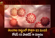 Telangana Covid-19 Updates 83 Positive Cases Reported on October 20th, Telangana Records 83 New Covid Cases, Telangana Covid Recoveries, Mango News, Mango News Telugu, Telangana Logs 83 Covid Positive Cases, 83 New COVID19 Cases In Telangana, COVID19 Cases In Telangana, Carona Live Updates, Covid19 News And Latest Updates, Covid19 Vaccine, COVID New Variant, Booster Dose, Telanagana COVID News