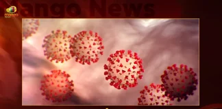 Telangana Covid-19 Updates 83 Positive Cases Reported on October 20th, Telangana Records 83 New Covid Cases, Telangana Covid Recoveries, Mango News, Mango News Telugu, Telangana Logs 83 Covid Positive Cases, 83 New COVID19 Cases In Telangana, COVID19 Cases In Telangana, Carona Live Updates, Covid19 News And Latest Updates, Covid19 Vaccine, COVID New Variant, Booster Dose, Telanagana COVID News