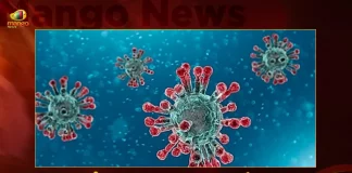 Telangana Records 78 New Corona Positive Cases 78 Recoveries on October 22nd, Telangana Records 78 New Covid Cases, 78 Covid Recoveries October 22nd, Mango News, Mango News Telugu, Telangana Logs 78 Covid Positive Cases, 78 New COVID19 Cases In Telangana, COVID19 Cases In Telangana, Carona Live Updates, Covid19 News And Latest Updates, Covid19 Vaccine, COVID New Variant, Booster Dose, Telanagana COVID News