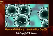 Telangana Records 87 New Covid-19 Positive Cases 73 Recoveries on October 10th, Telangana Records 87 New Covid Cases, 73 Covid Recoveries October 10th, Mango News, Mango News Telugu, Telangana Logs 87 Covid Positive Cases, 87 New COVID19 Cases In Telangana, COVID19 Cases In Telangana, Carona Live Updates, Covid19 News And Latest Updates, Covid19 Vaccine, COVID New Variant, Booster Dose, Telanagana COVID News, Zero COVID Cases In 20 Districts